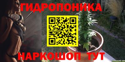крисы Краснодар