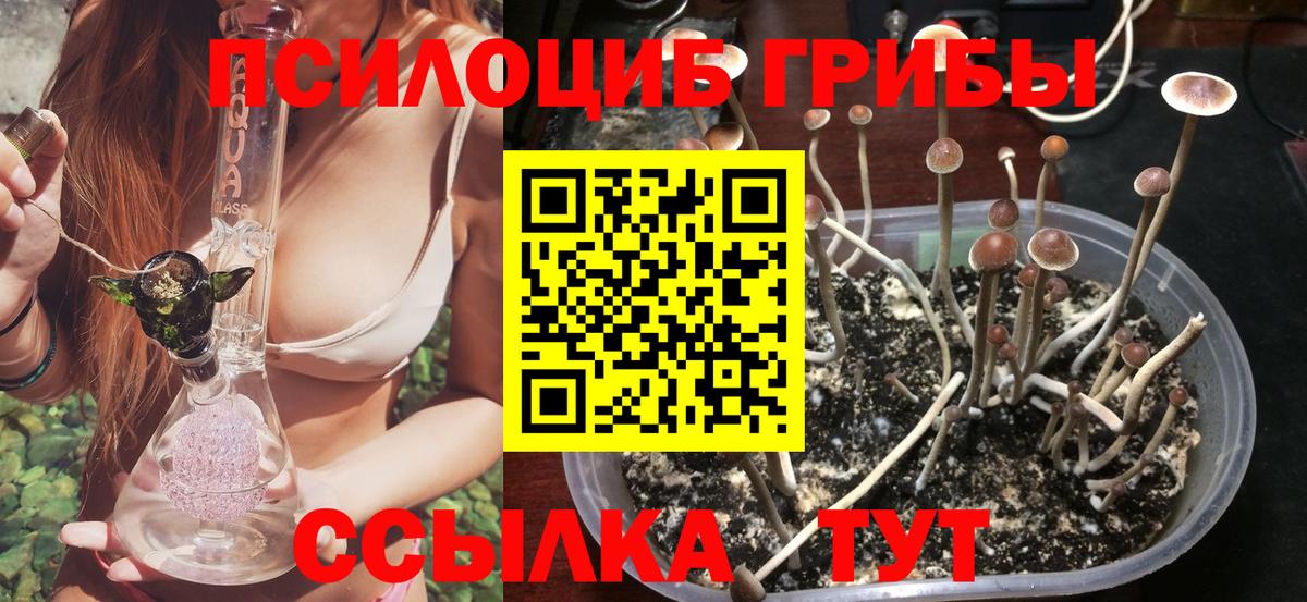 Холмск  Псилоцибиновые грибы мицелий  Вход с VPN 
